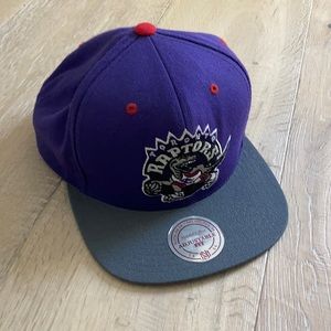 Raptors snap back